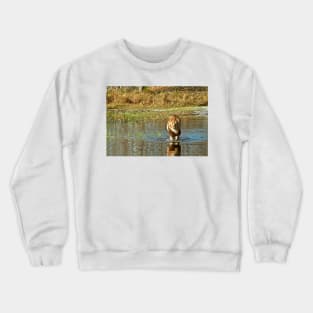 Lion crossing river Crewneck Sweatshirt